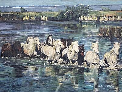 Chevaux de Camargue